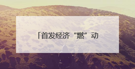 首发经济“燃”动消费新引擎 泰安市举办首店经济项目品牌入驻推进会