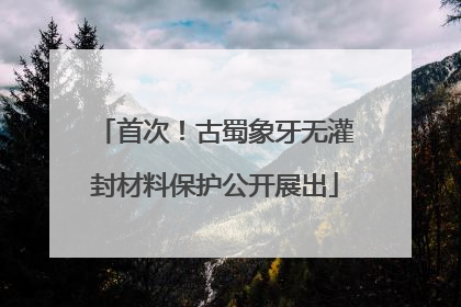 首次！古蜀象牙无灌封材料保护公开展出
