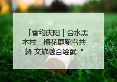 香约庆阳｜合水黑木村：梅花鹿鸵鸟共舞 文旅融合绘就“诗与远方”