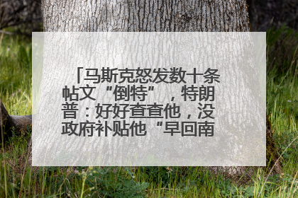马斯克怒发数十条帖文“倒特”，特朗普：好好查查他，没政府补贴他“早回南非老家”了