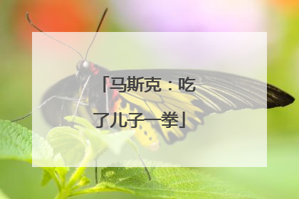 马斯克：吃了儿子一拳