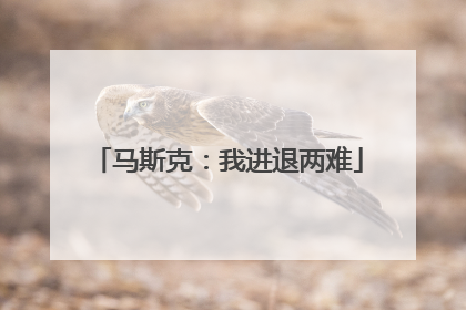 马斯克：我进退两难