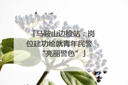 马鞍山边检站：岗位建功绘就青年民警“亮丽警色”