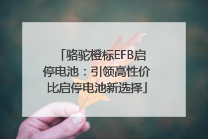 骆驼橙标EFB启停电池：引领高性价比启停电池新选择
