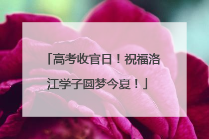 高考收官日！祝福洛江学子圆梦今夏！