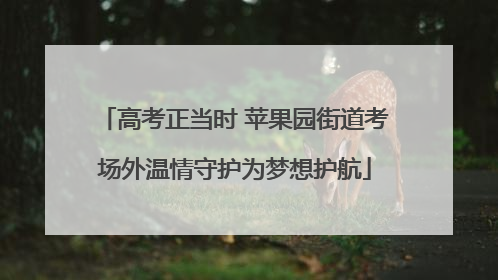 高考正当时 苹果园街道考场外温情守护为梦想护航