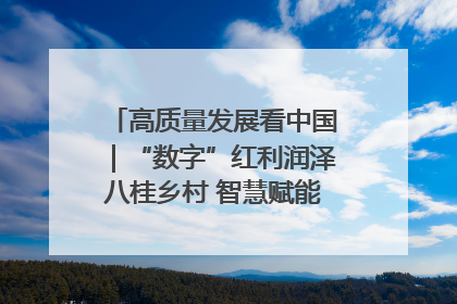 高质量发展看中国｜“数字”红利润泽八桂乡村 智慧赋能绘就振兴画卷