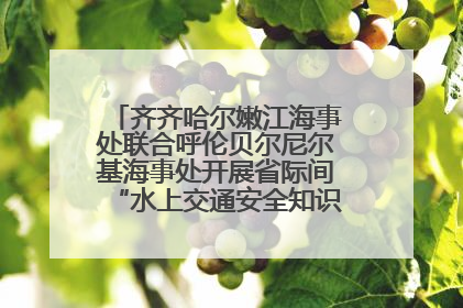 齐齐哈尔嫩江海事处联合呼伦贝尔尼尔基海事处开展省际间“水上交通安全知识进校园”活动