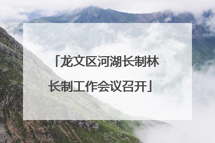 龙文区河湖长制林长制工作会议召开