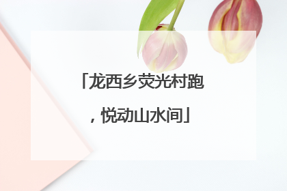 龙西乡荧光村跑，悦动山水间