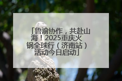 鲁渝协作，共赴山海！2025重庆火锅全球行（济南站）活动今日启动