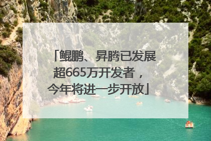鲲鹏、昇腾已发展超665万开发者，今年将进一步开放