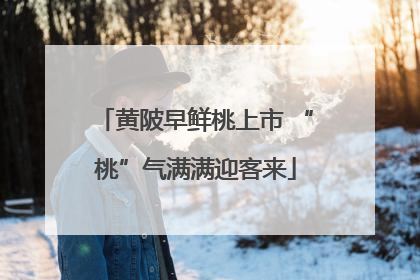 黄陂早鲜桃上市 “桃”气满满迎客来