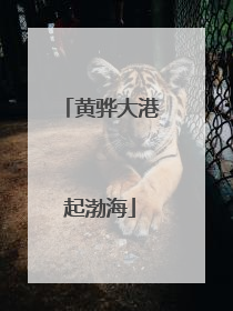 黄骅大港起渤海