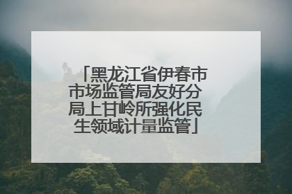 黑龙江省伊春市市场监管局友好分局上甘岭所强化民生领域计量监管