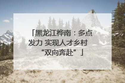 黑龙江桦南：多点发力 实现人才乡村“双向奔赴”