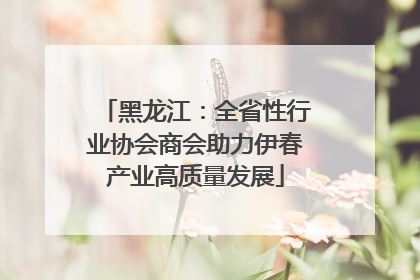 黑龙江：全省性行业协会商会助力伊春产业高质量发展