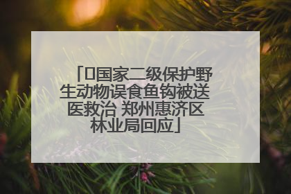 ﻿国家二级保护野生动物误食鱼钩被送医救治 郑州惠济区林业局回应