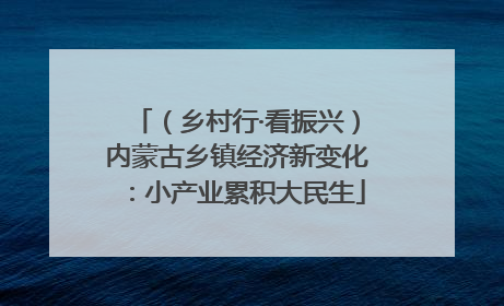 （乡村行·看振兴）内蒙古乡镇经济新变化：小产业累积大民生