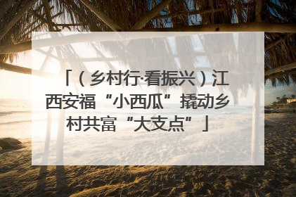 （乡村行·看振兴）江西安福“小西瓜”撬动乡村共富“大支点”