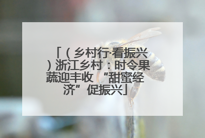 （乡村行·看振兴）浙江乡村：时令果蔬迎丰收 “甜蜜经济”促振兴