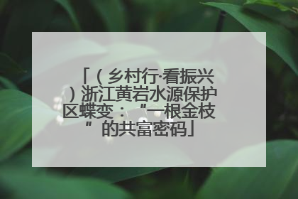 （乡村行·看振兴）浙江黄岩水源保护区蝶变：“一根金枝”的共富密码