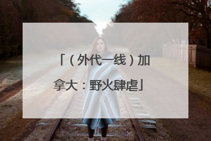 （外代一线）加拿大：野火肆虐