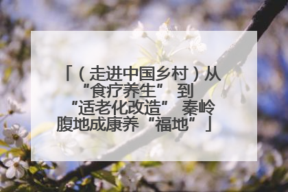 （走进中国乡村）从 “食疗养生” 到 “适老化改造” 秦岭腹地成康养“福地”