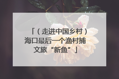 （走进中国乡村）海口最后一个渔村捕文旅“新鱼”