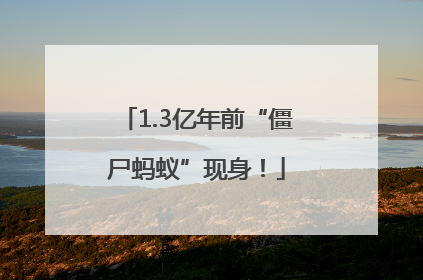 1.3亿年前“僵尸蚂蚁”现身！