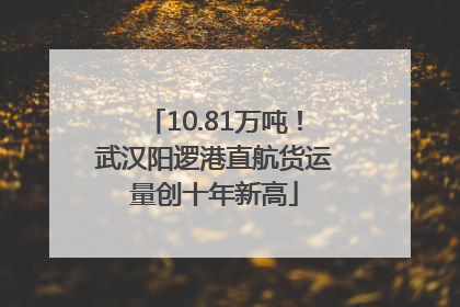 10.81万吨！武汉阳逻港直航货运量创十年新高