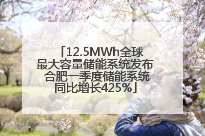 12.5MWh全球最大容量储能系统发布 合肥一季度储能系统同比增长425%
