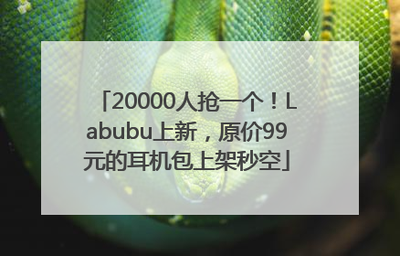20000人抢一个！Labubu上新，原价99元的耳机包上架秒空