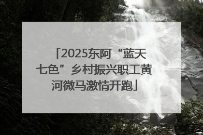 2025东阿“蓝天七色”乡村振兴职工黄河微马激情开跑