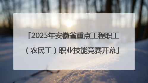 2025年安徽省重点工程职工（农民工）职业技能竞赛开幕