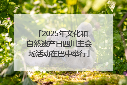 2025年文化和自然遗产日四川主会场活动在巴中举行