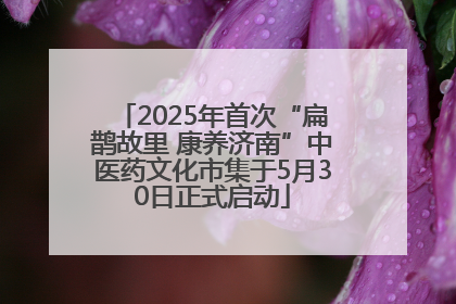 2025年首次“扁鹊故里 康养济南”中医药文化市集于5月30日正式启动