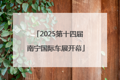 2025第十四届南宁国际车展开幕