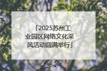 2025苏州工业园区网络文化采风活动圆满举行