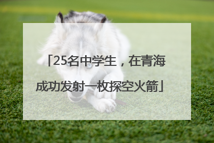 25名中学生，在青海成功发射一枚探空火箭