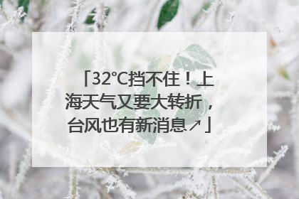 32℃挡不住！上海天气又要大转折，台风也有新消息↗