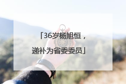 36岁杨旭恒，递补为省委委员