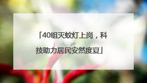 40组灭蚊灯上岗，科技助力居民安然度夏