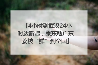 4小时到武汉24小时达新疆，京东助广东荔枝“鲜”到全国