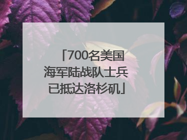 700名美国海军陆战队士兵已抵达洛杉矶