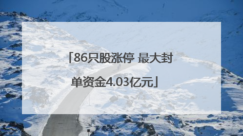 86只股涨停 最大封单资金4.03亿元