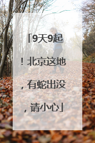 9天9起！北京这地，有蛇出没，请小心