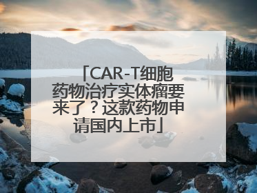 CAR-T细胞药物治疗实体瘤要来了？这款药物申请国内上市