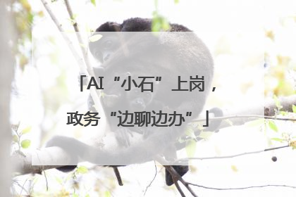 AI“小石”上岗，政务“边聊边办”