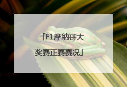 F1摩纳哥大奖赛正赛赛况